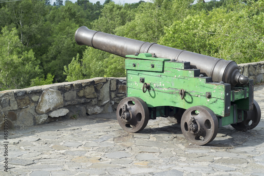 cannon at Forte