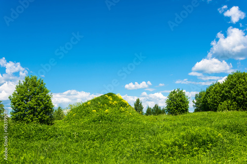 Big green hill with yellow flowers.