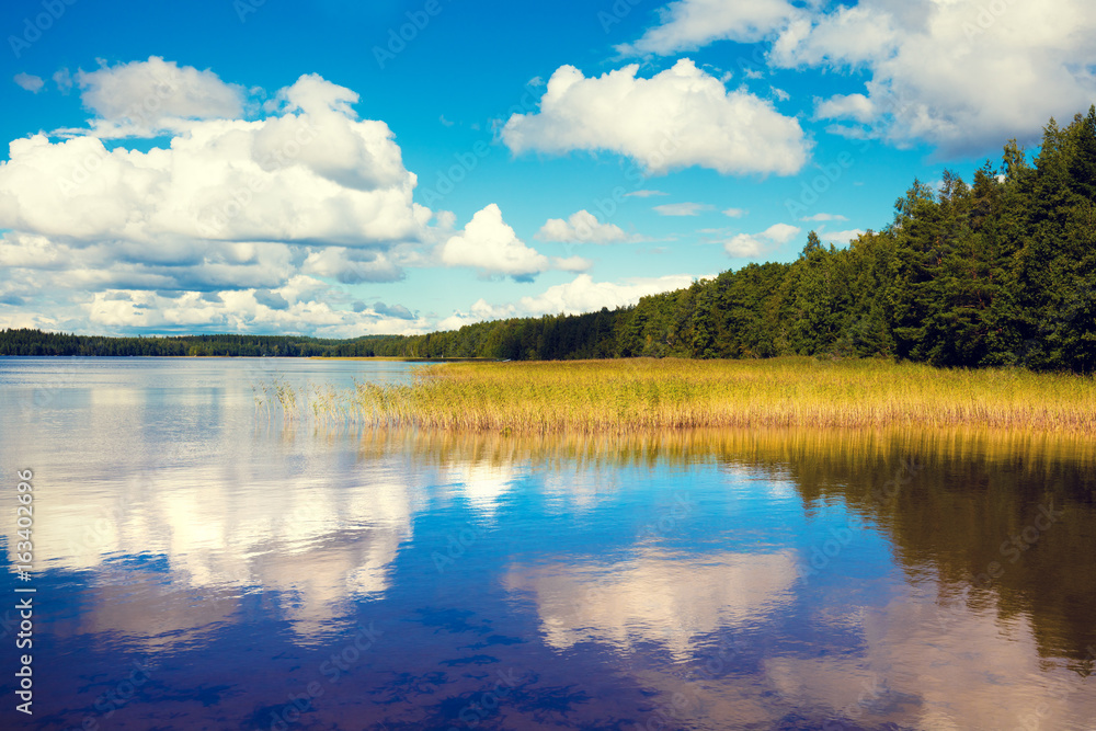 Fototapeta premium Lakeshore with trees and blue cloudy sky. Beautiful summer nature Finland