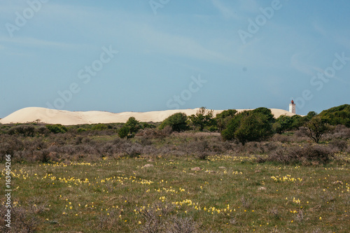 Dänemark Rubjerg Knude Fyr photo