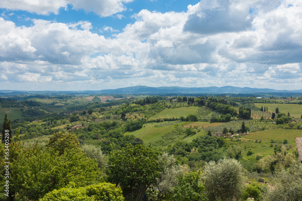 Fototapeta premium Tuscany, in Italy