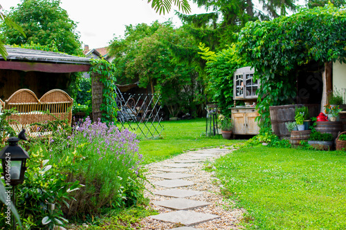 Fototapeta Naklejka Na Ścianę i Meble -  lavender flower in the garden