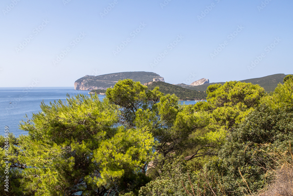 Summer landscape with green bushes on Sardinia Island