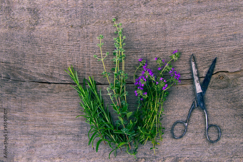 Fresh herbs. Bunch of thyme, rosemary, marjoram and scissors on old rustic wooden board. Herbal background with copy space. 