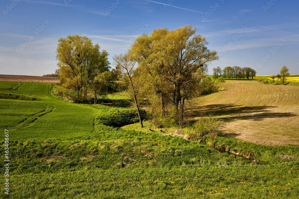 Fototapeta premium Spring time, Poland around the town of Sztum - Panorama