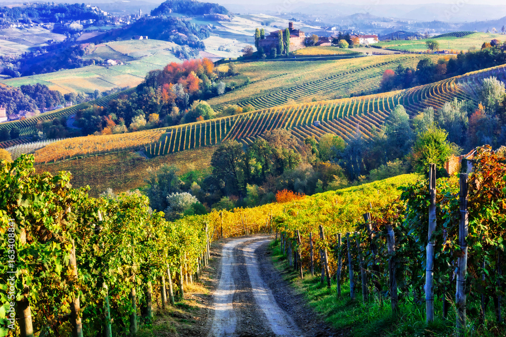 Fototapeta Winnice i zamki Piemontu w jesiennych barwach. Na północ od Włoch