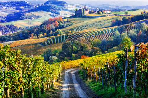 Vineyards and castles of Piemonte in autumn colors. North of Italy