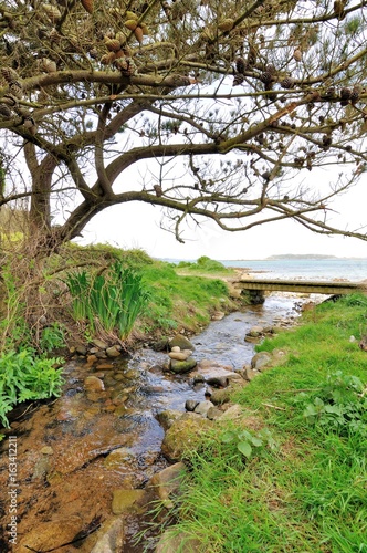 фотографія Petit ruisseau avec un pont de bois en bord de mer