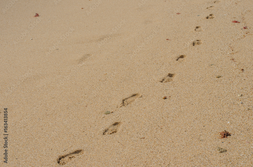 Footprints on the sand near Porto Covo, Portugal. Footprints on the sand near Porto Covo, Portugal.