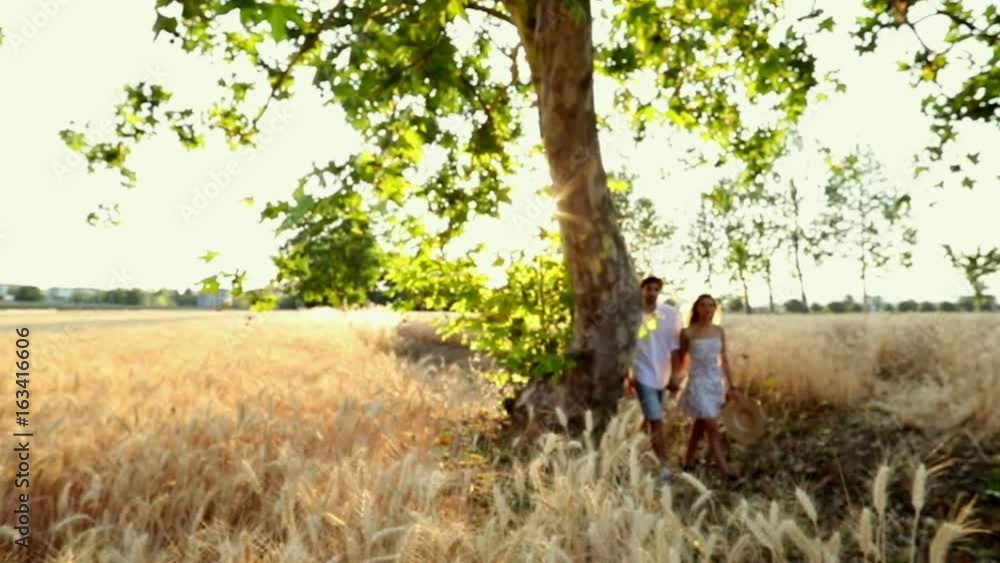 Girlfriend and boyfriend walking across a wheat field / Couple in love at sunset light in the middle of nature walking and relaxing surrounded by trees / slow-mo / 720p / steady-cam Girlfriend and boyfriend walking across a wheat field / Couple in love at sunset light in the middle of nature walking and relaxing surrounded by trees / slow-mo / 720p / steady-cam