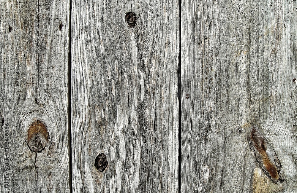 Texture wood monochrome gray Texture wood monochrome gray