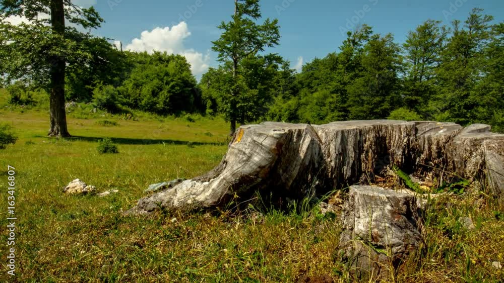 4k dolly moving time lapse of an amazing and beutiful summer mountain nature landscape