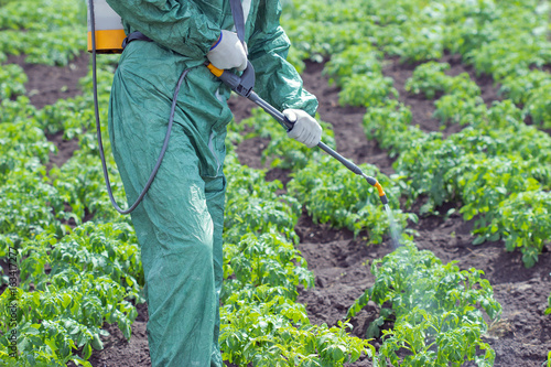 Рабочий,мужчина обрабатывает растения в поле гербицидной жидкостью от вредителей,личинок
