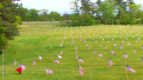 A wide shot of hundreds of memorial flags honoring heroes at national cemetery photo