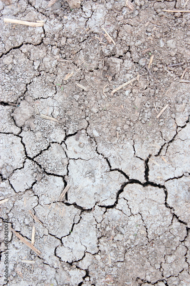 Dry and cracked earth background Dry and cracked earth background