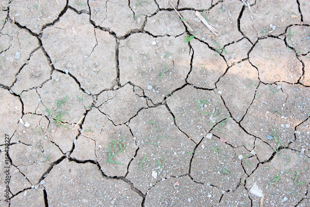 Dry and cracked earth background Dry and cracked earth background