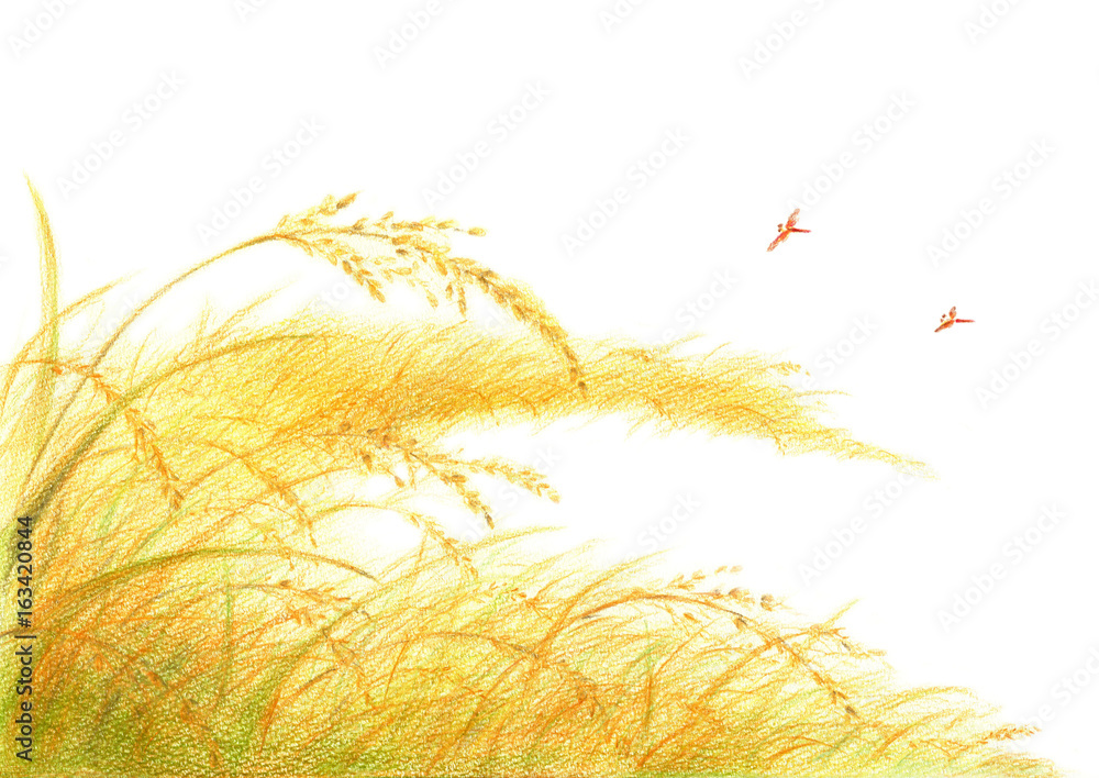 田んぼと赤とんぼの風景 Stock イラスト Adobe Stock