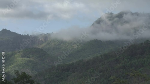 Mountain Forest Cloud Landscape