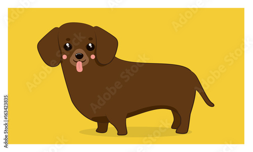 Cute dachshund dog brown color