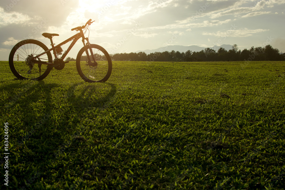 Silhouette of big bicycle on the green grass field with the sun light background