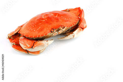 single steamed crab isolated on white background © nd700