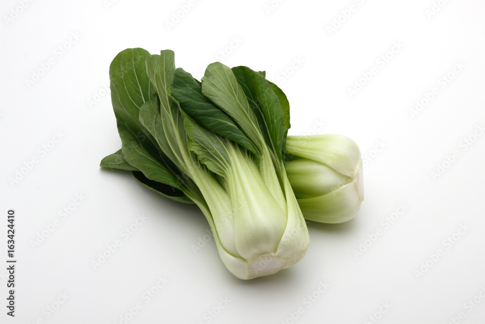 チンゲン菜 チンゲン菜