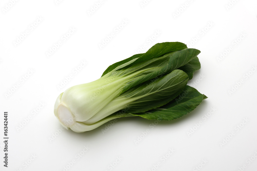 チンゲン菜 チンゲン菜