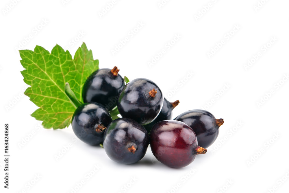 Delicious ripe black currant on a white background. Delicious ripe black currant on a white background.