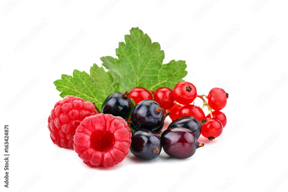 Tasty ripe raspberries and currants on a white background.