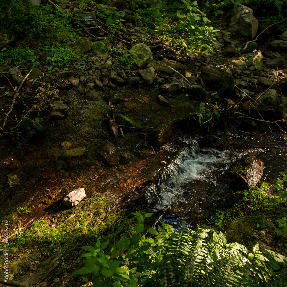 Creek in the forest, nature background. Creek in the forest, nature background.