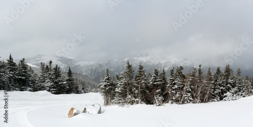 Panorama of snowy tree line...