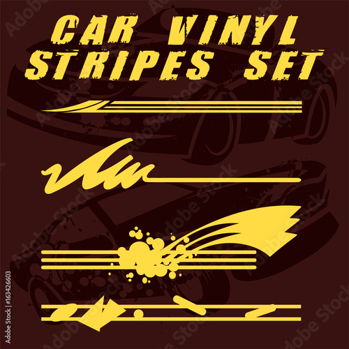Tribal and cool Car stripe set top print on vinyl and adhesive on vehicle