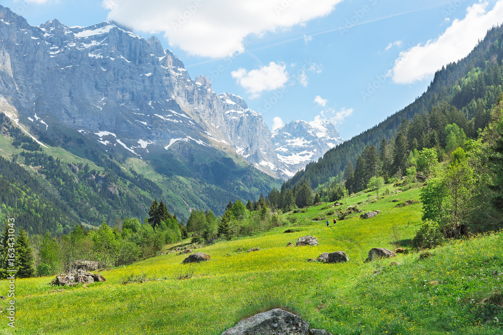 Landscape of meadows and mountains in the Alps