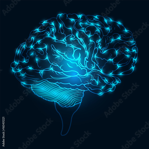 glowing blue brain background, illustration vector