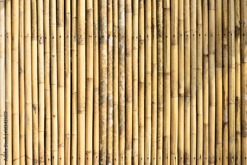 Texture of bamboo fence  nature background