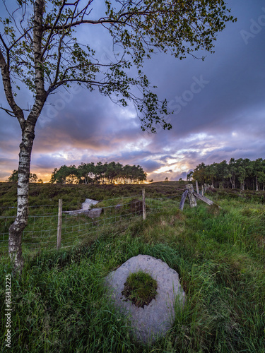 Silver Birch and Millstone in Landscape with Trees Moody Sky at Sunset with Orange Light