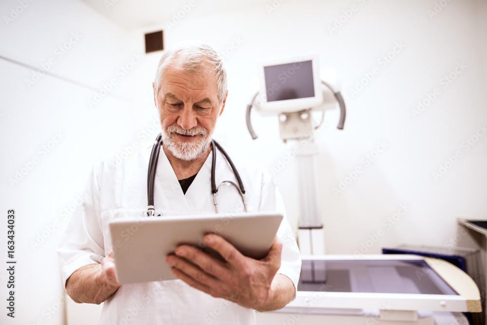 Senior vet using tablet in clinic Senior vet using tablet in clinic