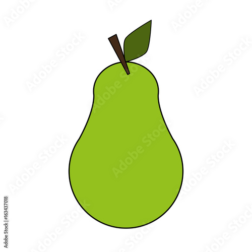 pear fruit over white background vector illustration