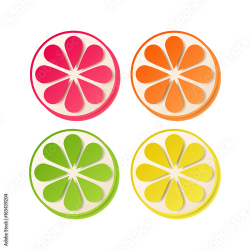 Lemon lime orange and grapefruit slices set.