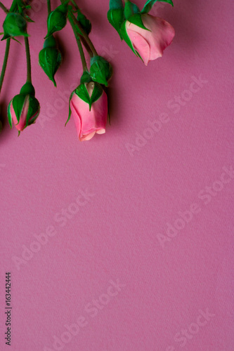 Pink roses - top view,  copy space, invitation card