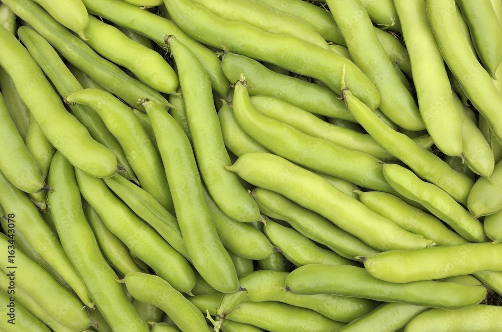 Broad beans