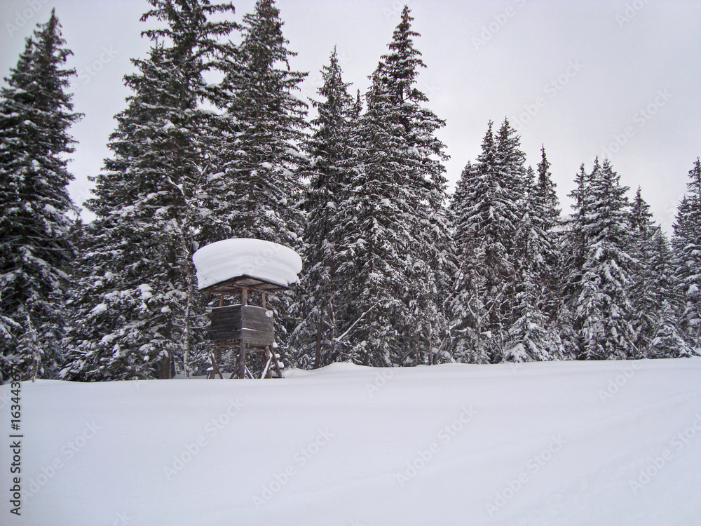 Obraz premium Austria Winter
