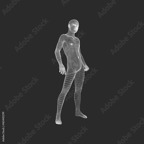 Man Stands on his Feet.3D Model of Man. Geometric Design. 3d Polygonal Covering Skin. Human Body Wire Model. Vector Illustration.
