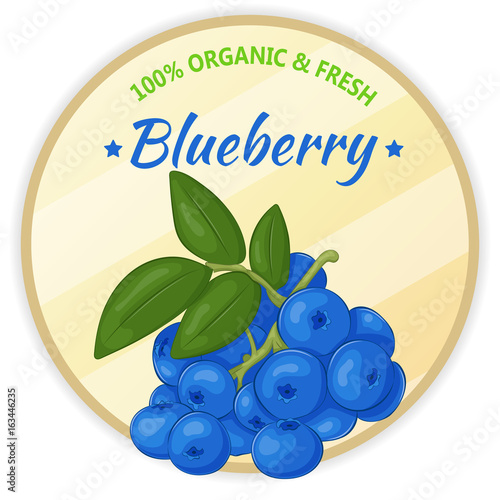 Vintage label with blueberry isolated on white background in cartoon style. Vector illustration. Fruit and Vegetables Collection.