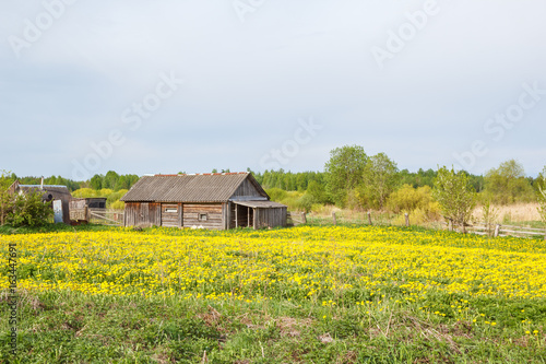 A shed in a vegetable garden in a summer village