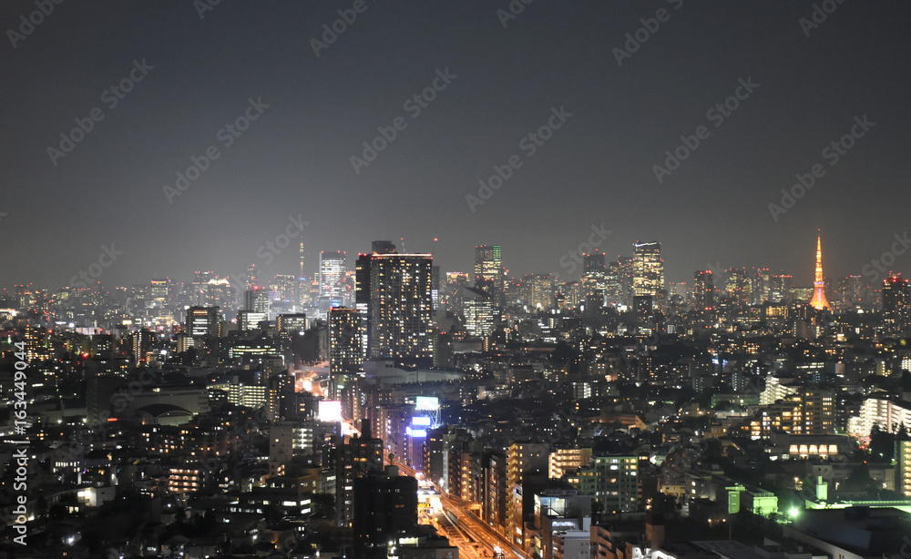 日本の東京都市風景・夜景（渋谷区や千代田区、港区方面などを望む）