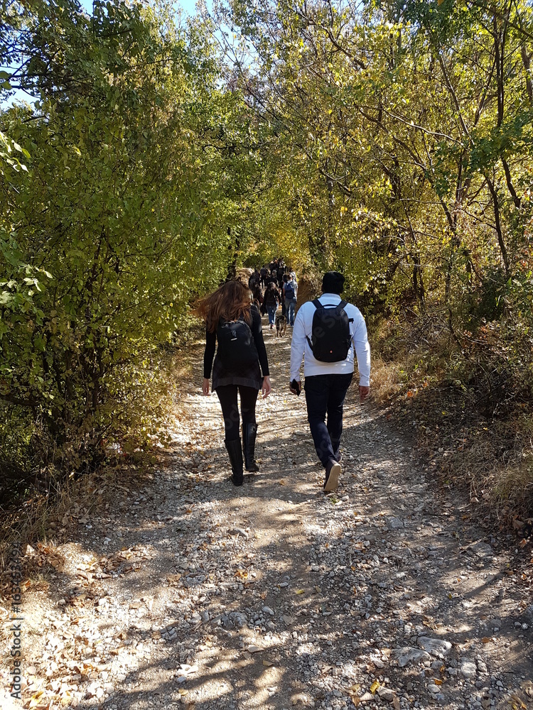 Fototapeta premium Hiking