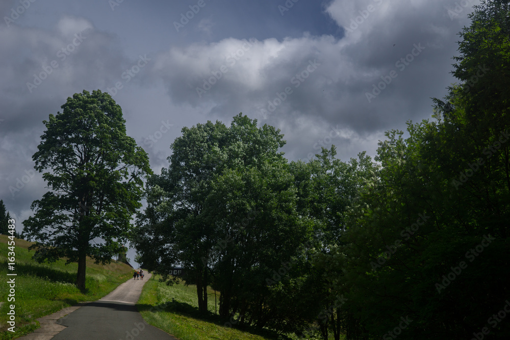 mountainslide in summer