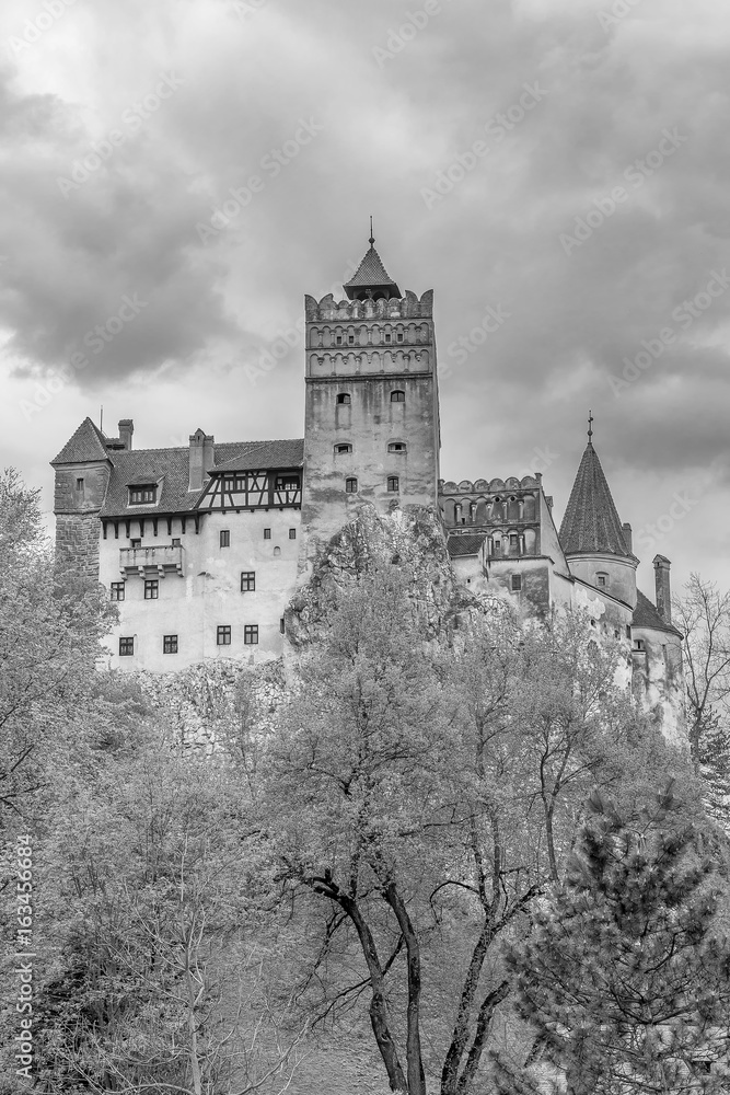Beautiful vertical black and white view of the famous Bran castle in Brasov district, Transylvania, Romania
