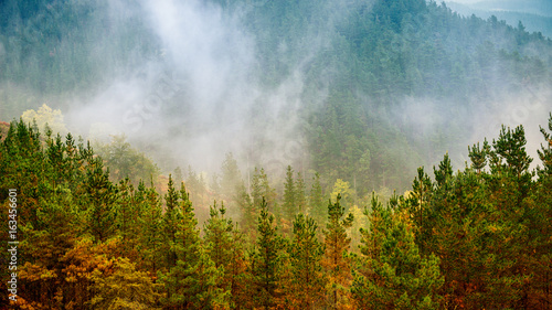 Foggy Landscape © tichr